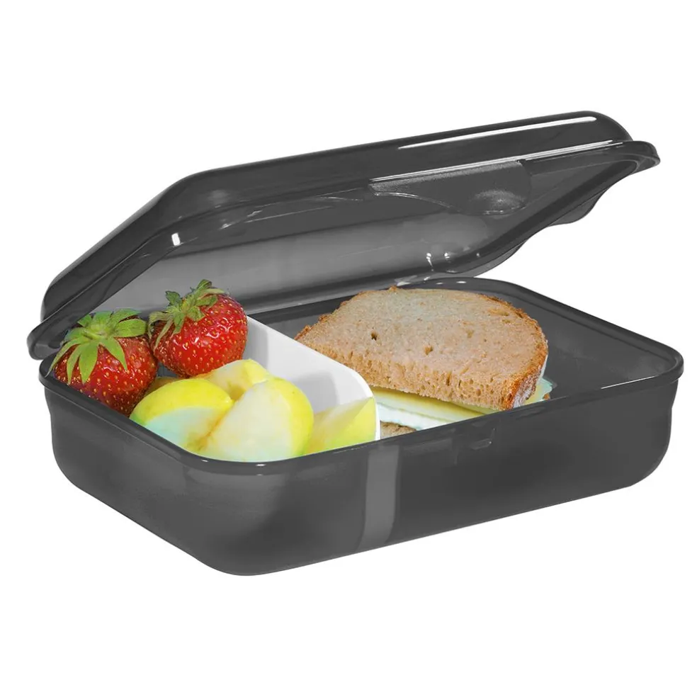 Step by Step Lunchbox - WILD T-REX TARO